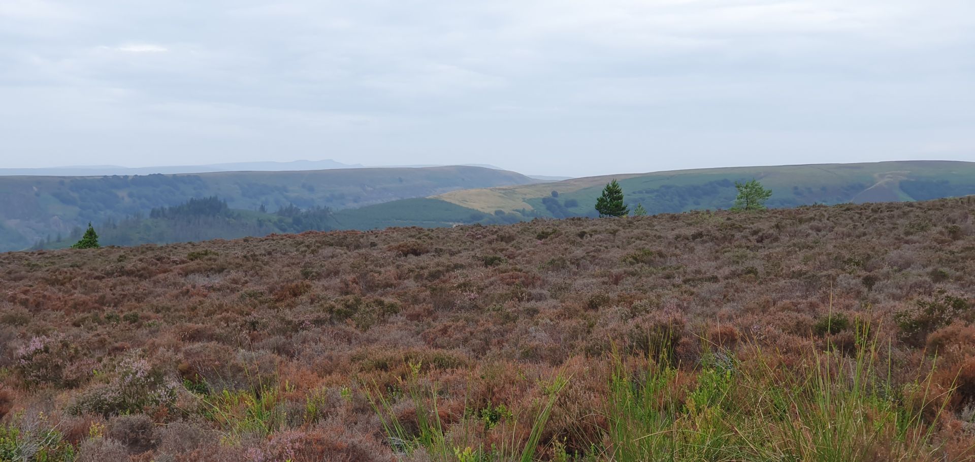 Brecon Beacons in the distance