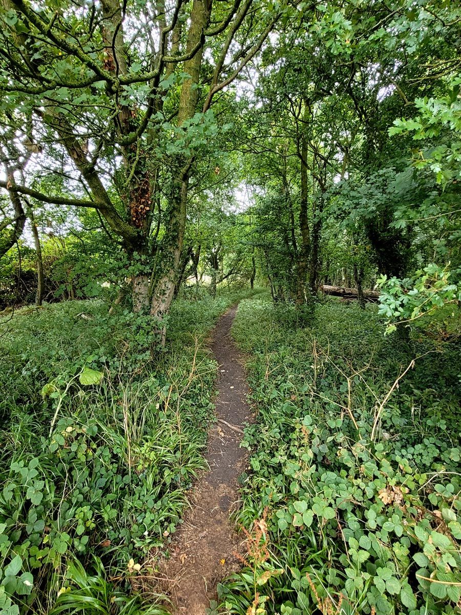 footpath