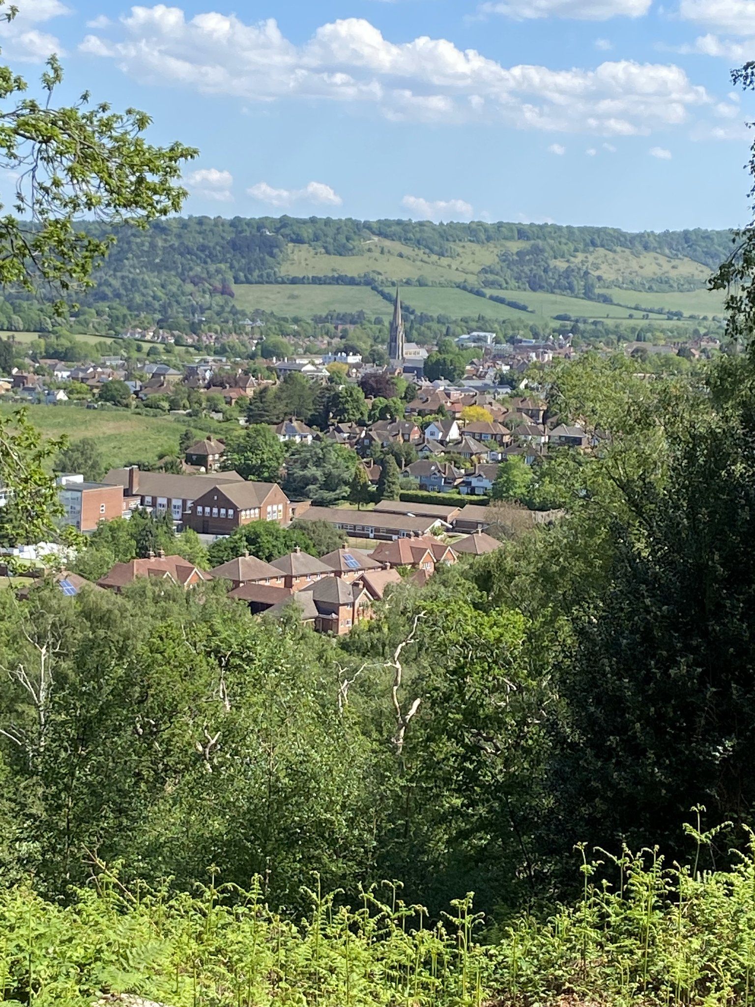 Dorking
