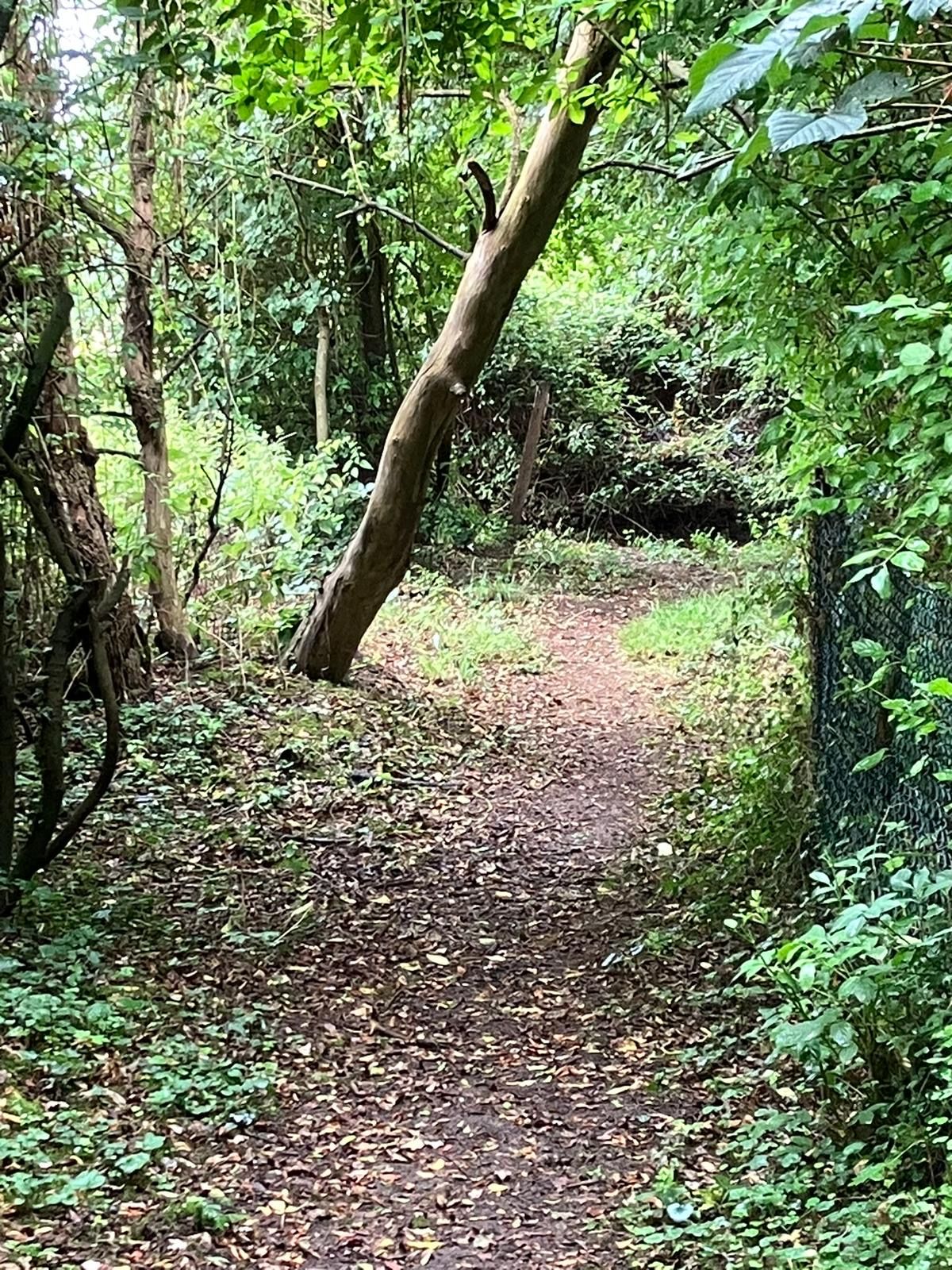 Denmead2
