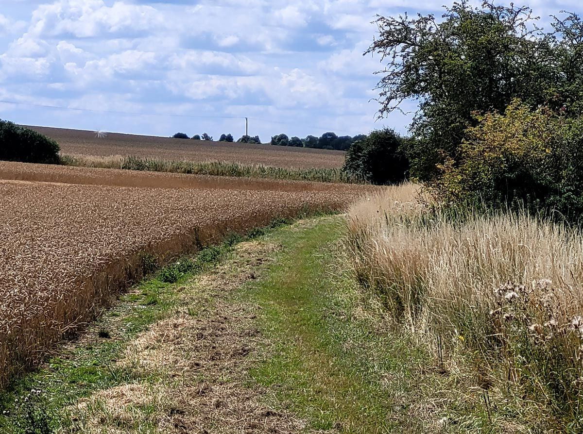 field path