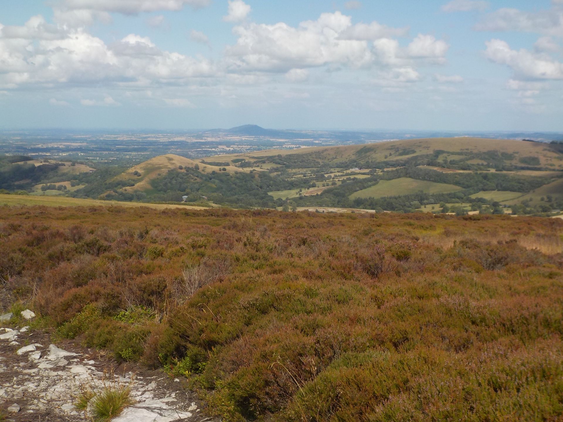 Stiperstones