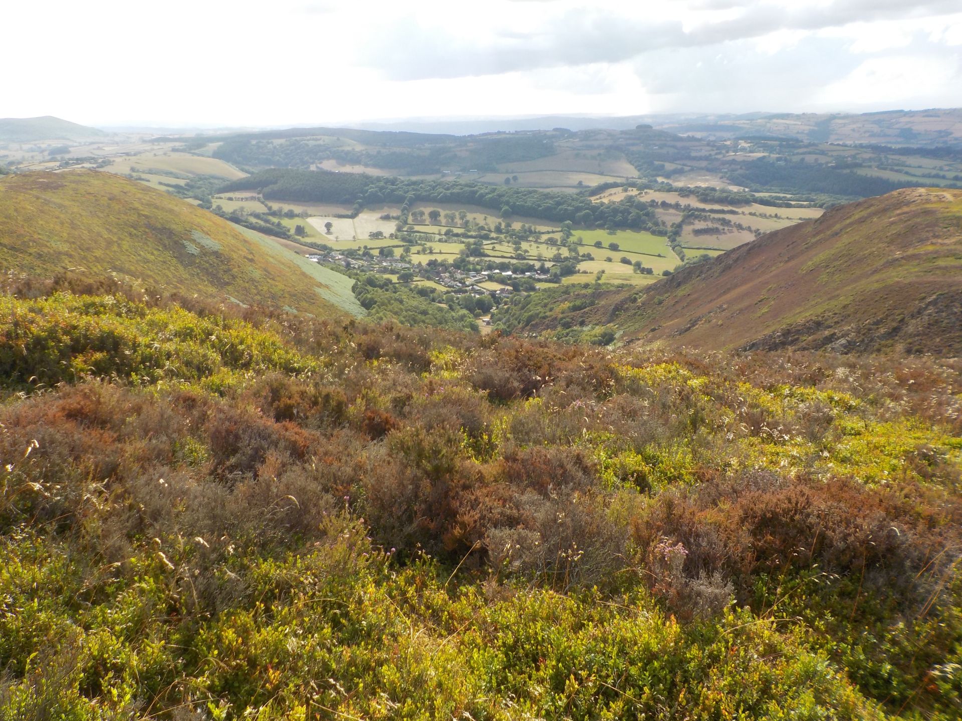 Stiperstones