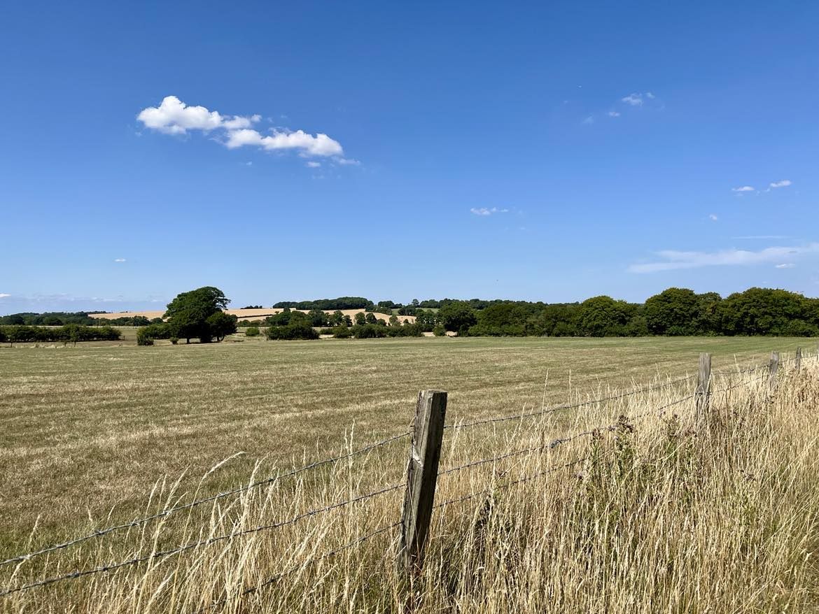 View of an arable field