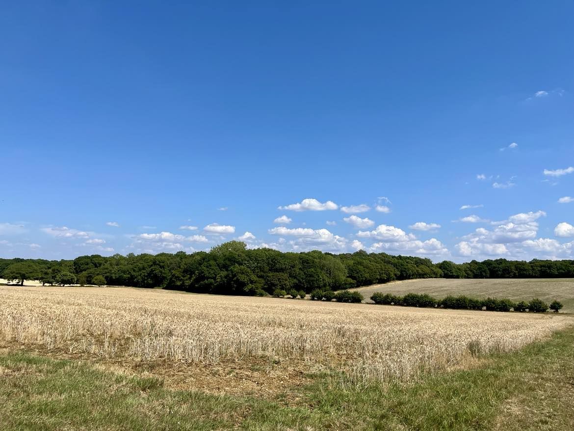 A view across arable fields