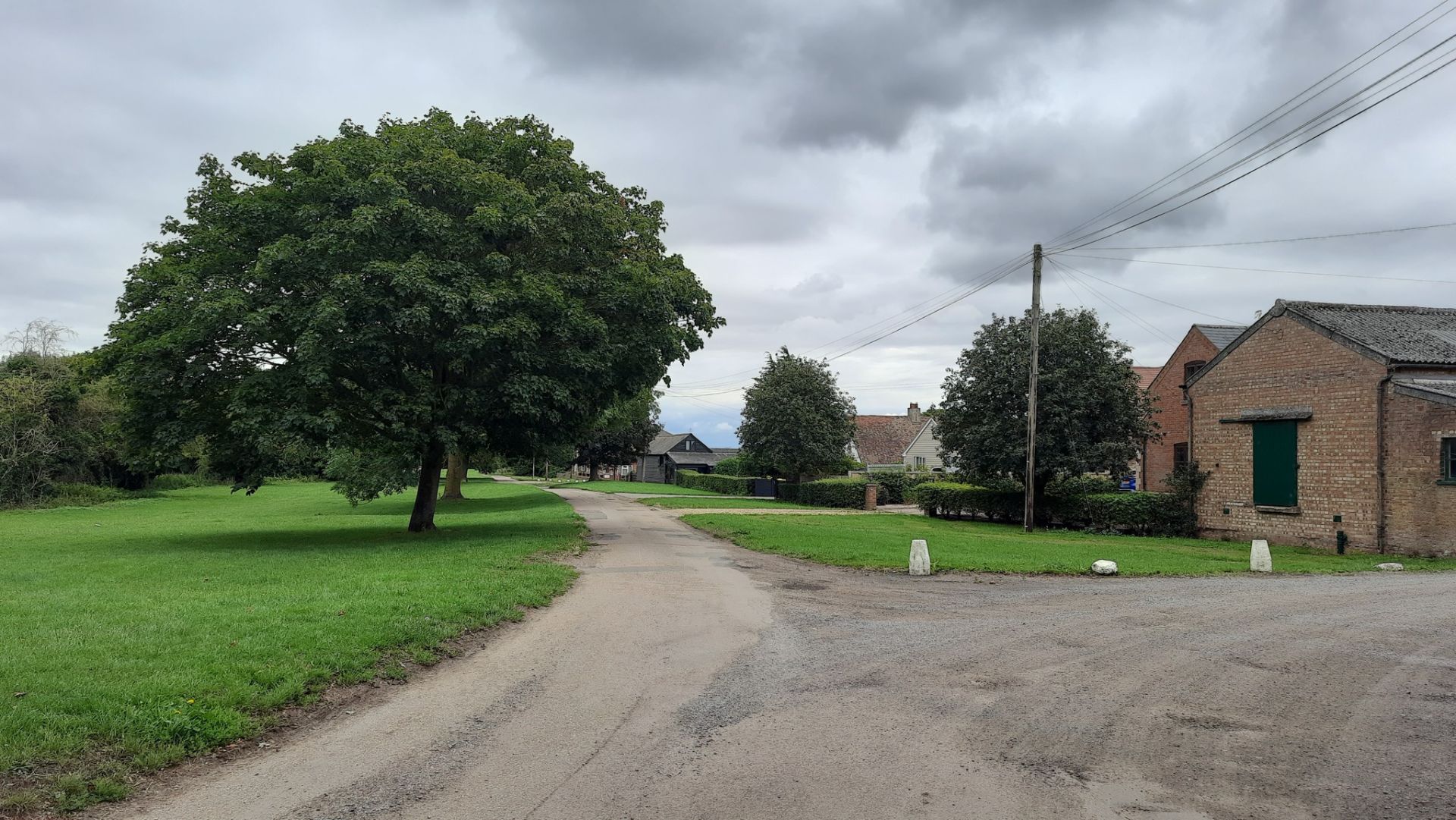 Trees, a road and buildings