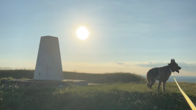 A photo of the route showing a dog and the landscape