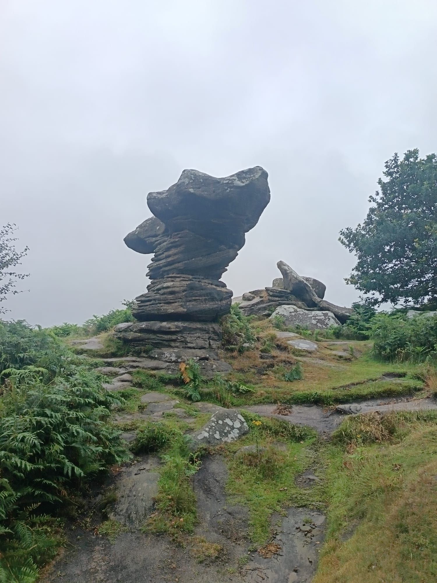 Brimham Rocks