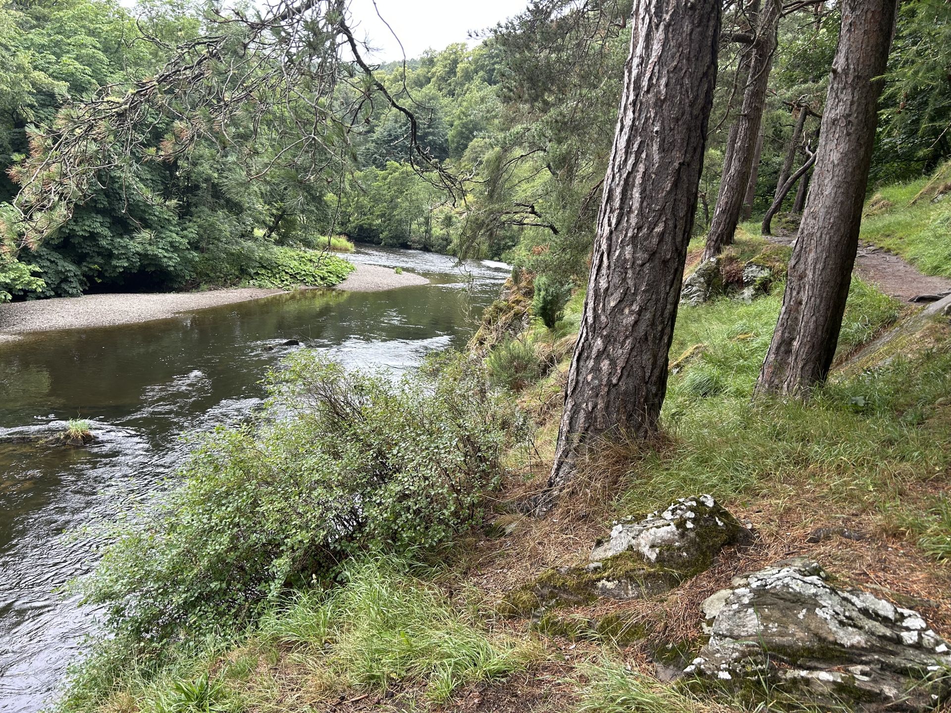 River Tweed bank