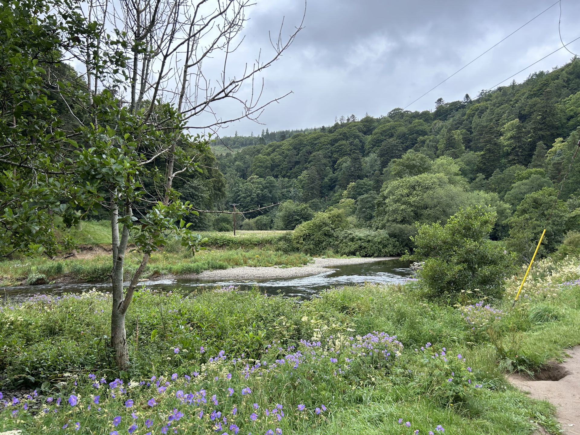 Tweed Valley