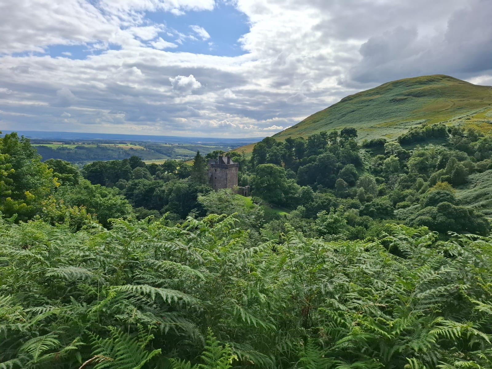 Castle