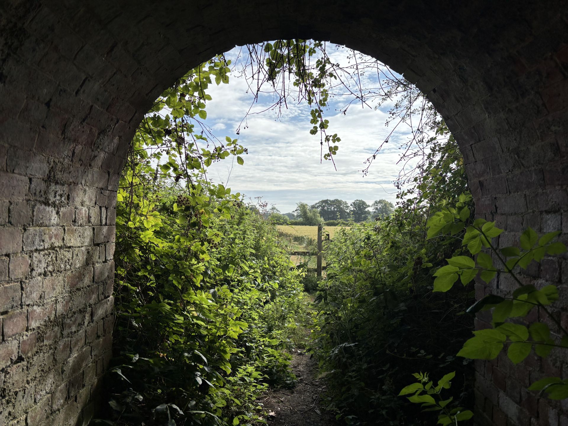 Kingston