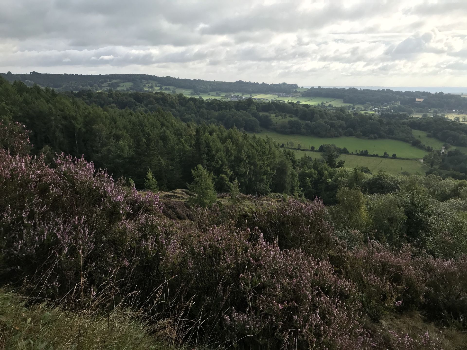 Ashover 1