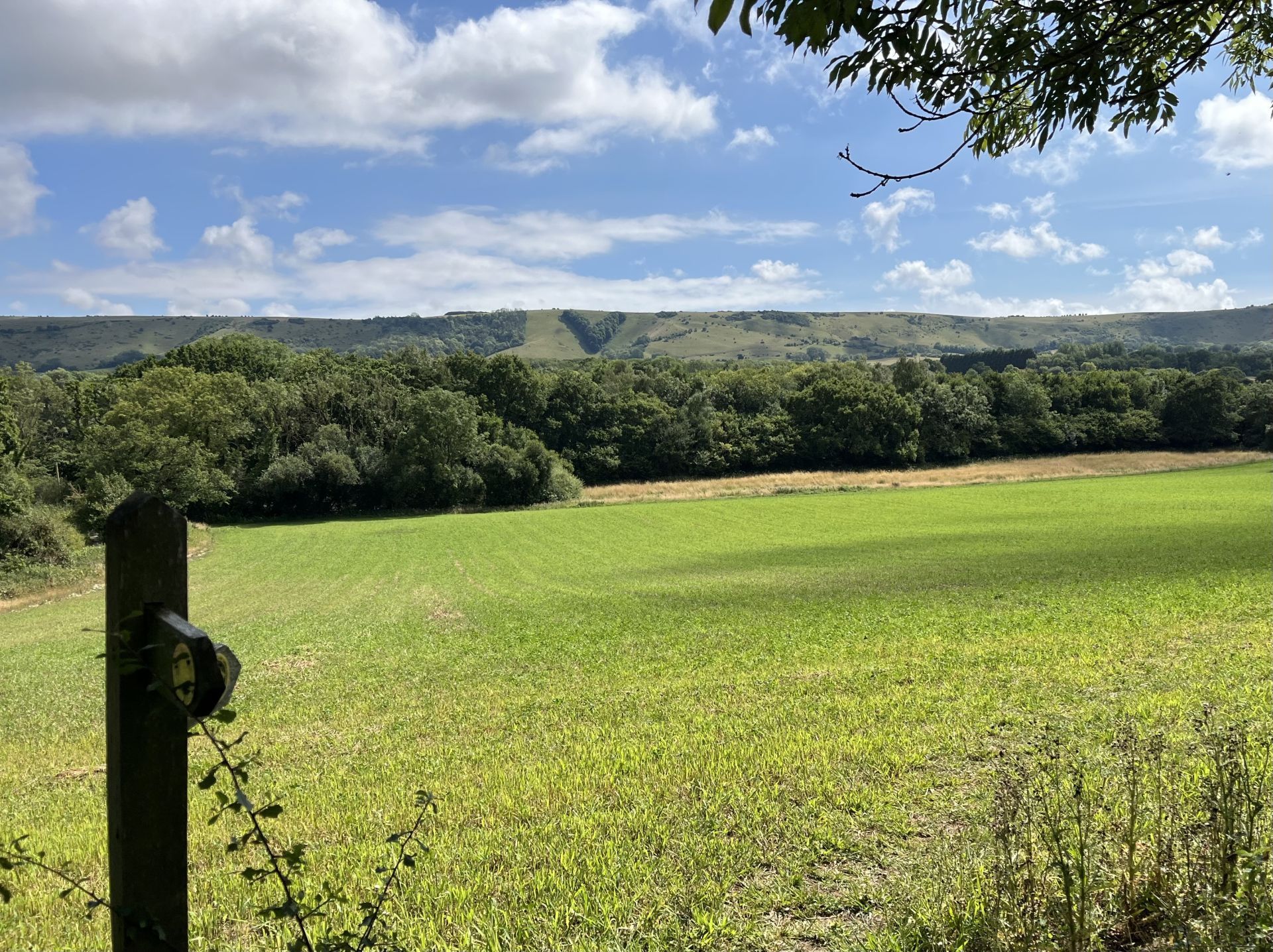 View of South Downs