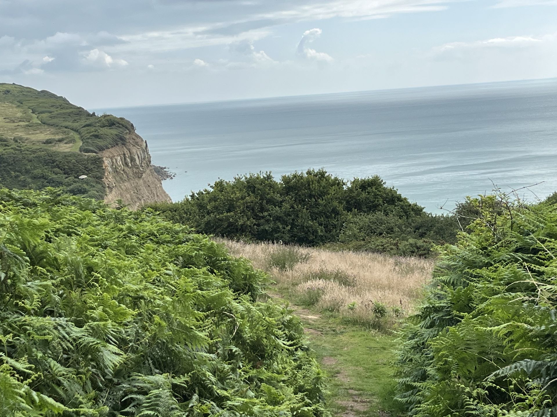 Cliffs