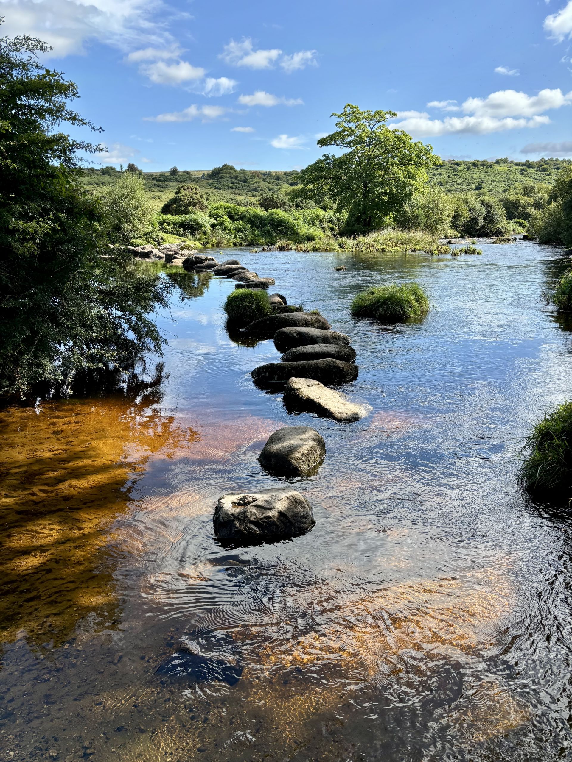 Stepping stones over the West Dart river