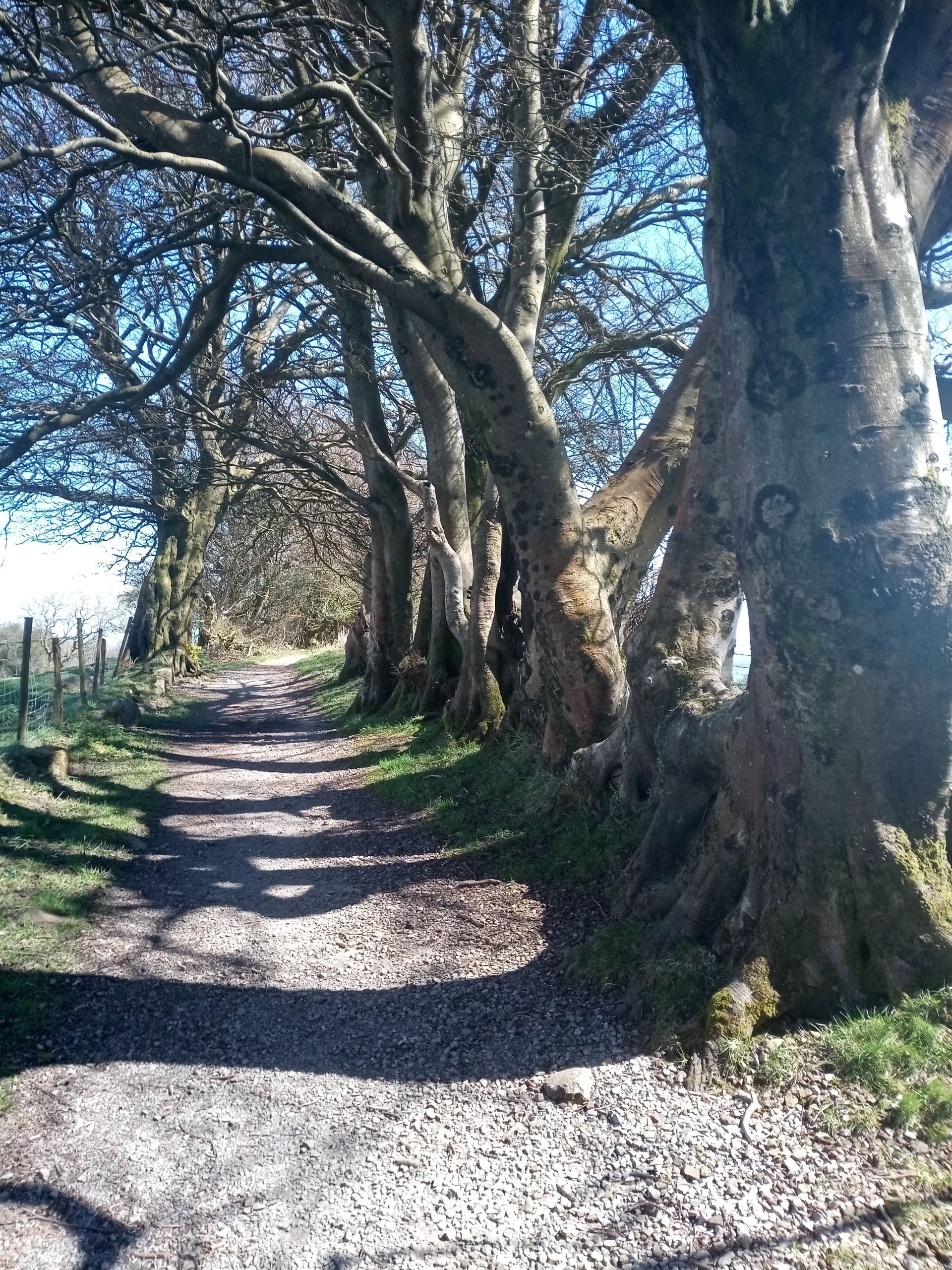 Ridge walk