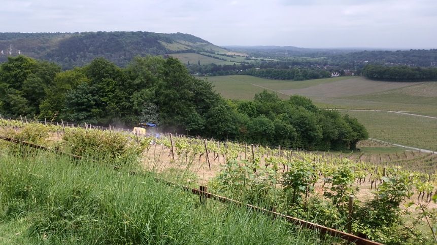 Boxhill as viewed fron Denbies