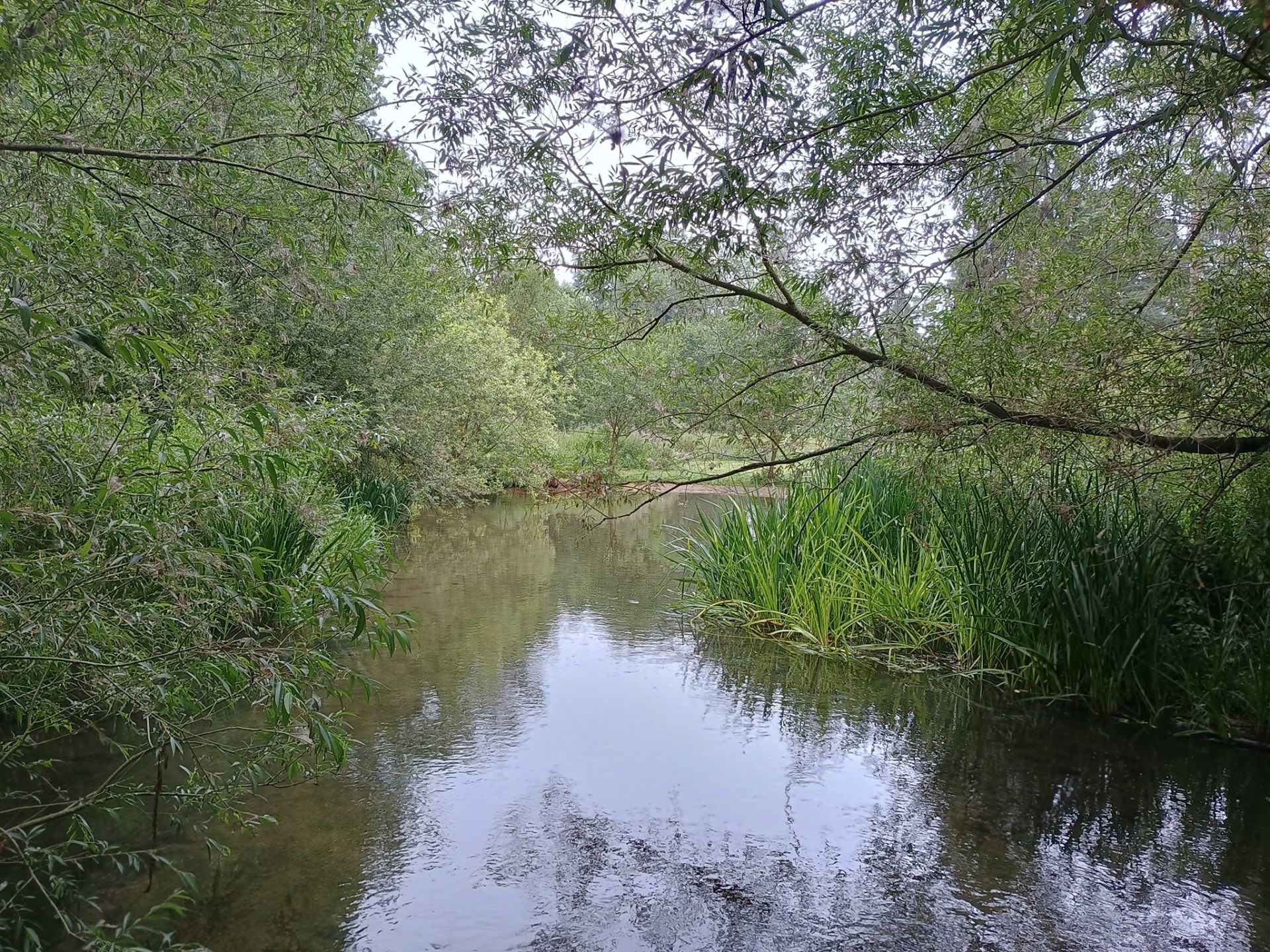 River Chess