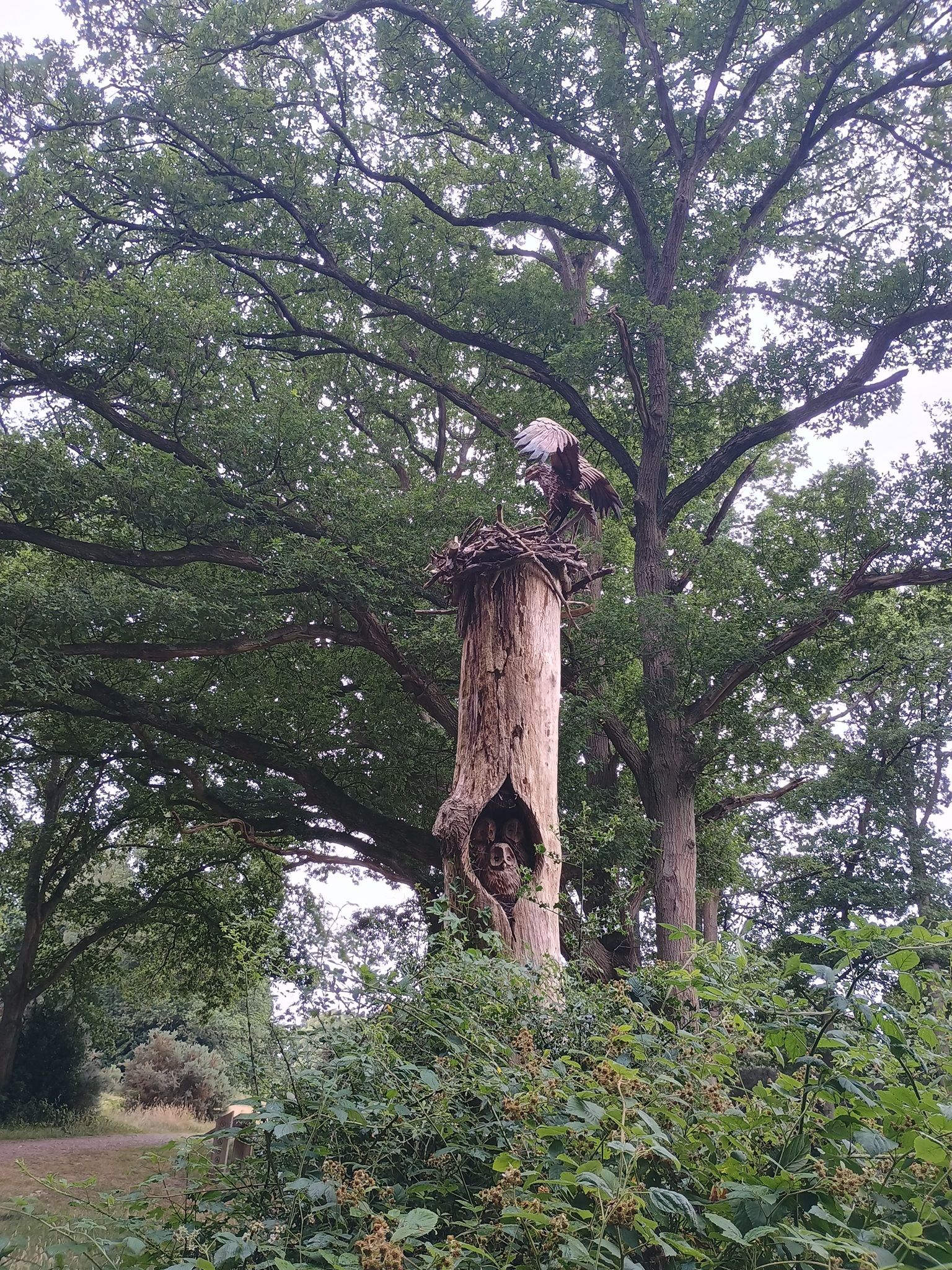 Carvings