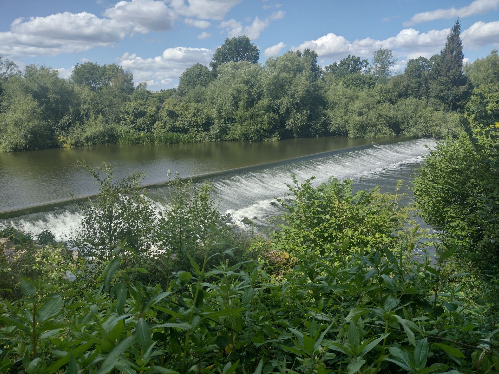 Holt Fleet 