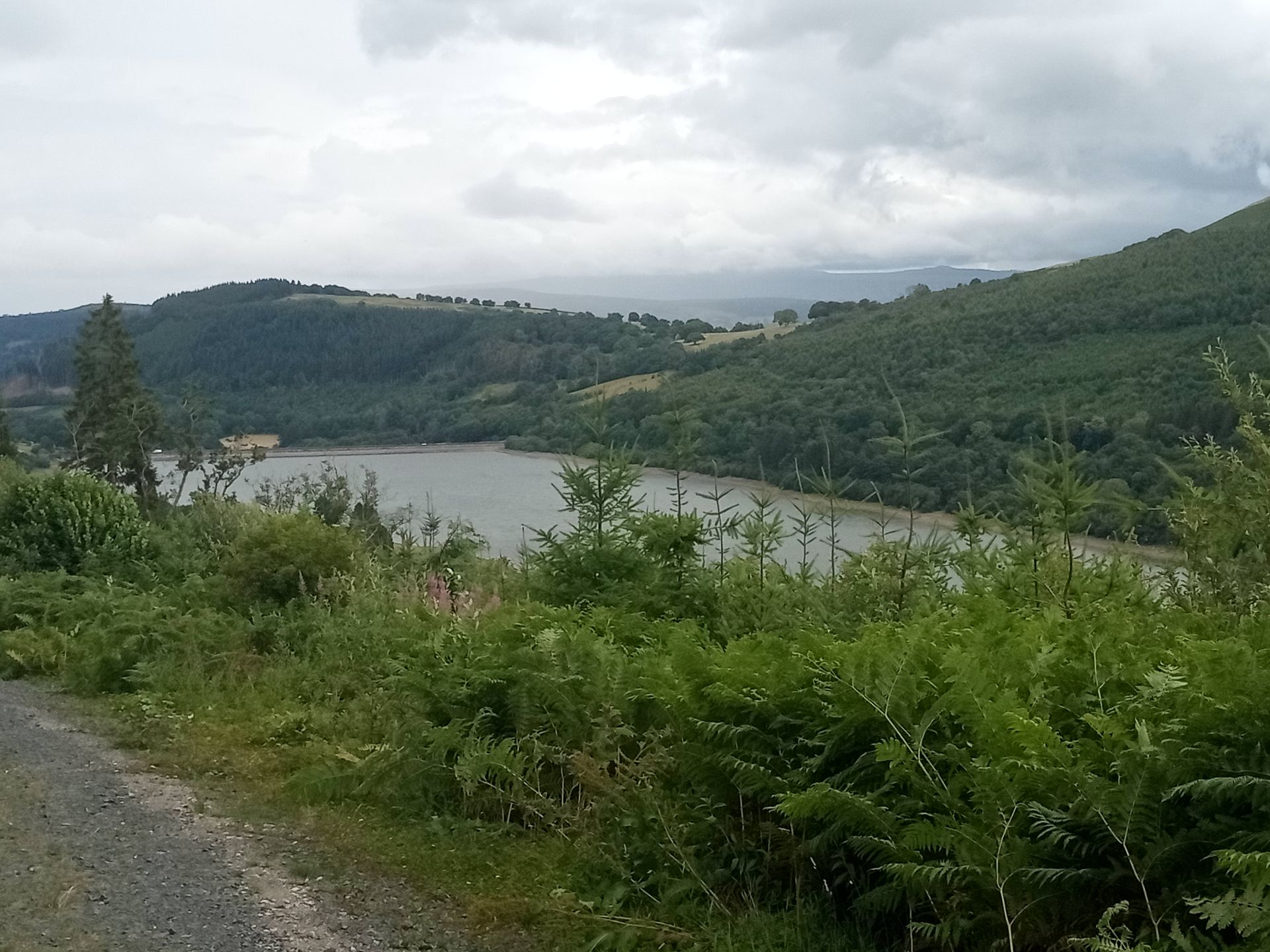 View from Talybont Forest