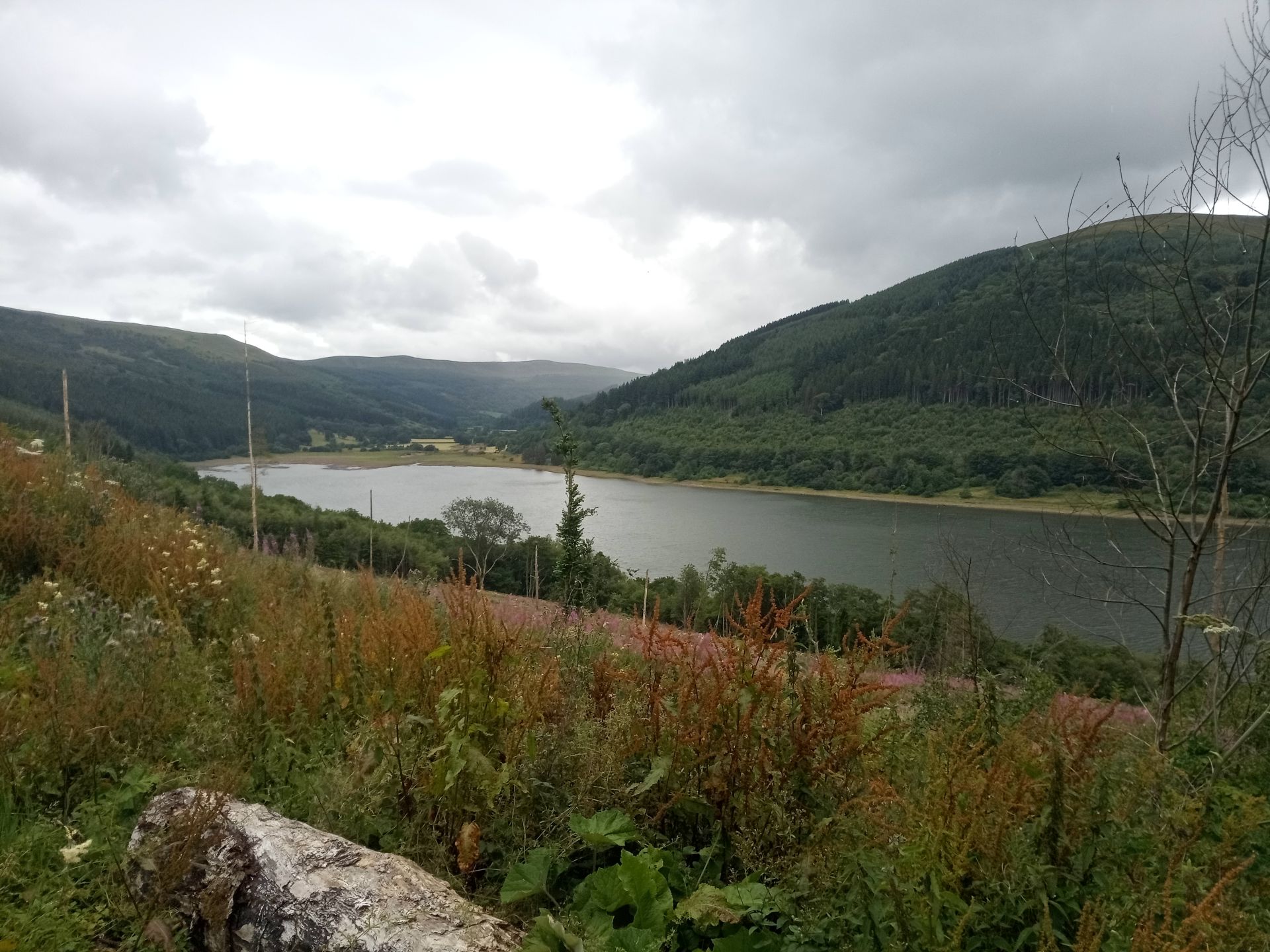 View looking back to Glyn Collwn