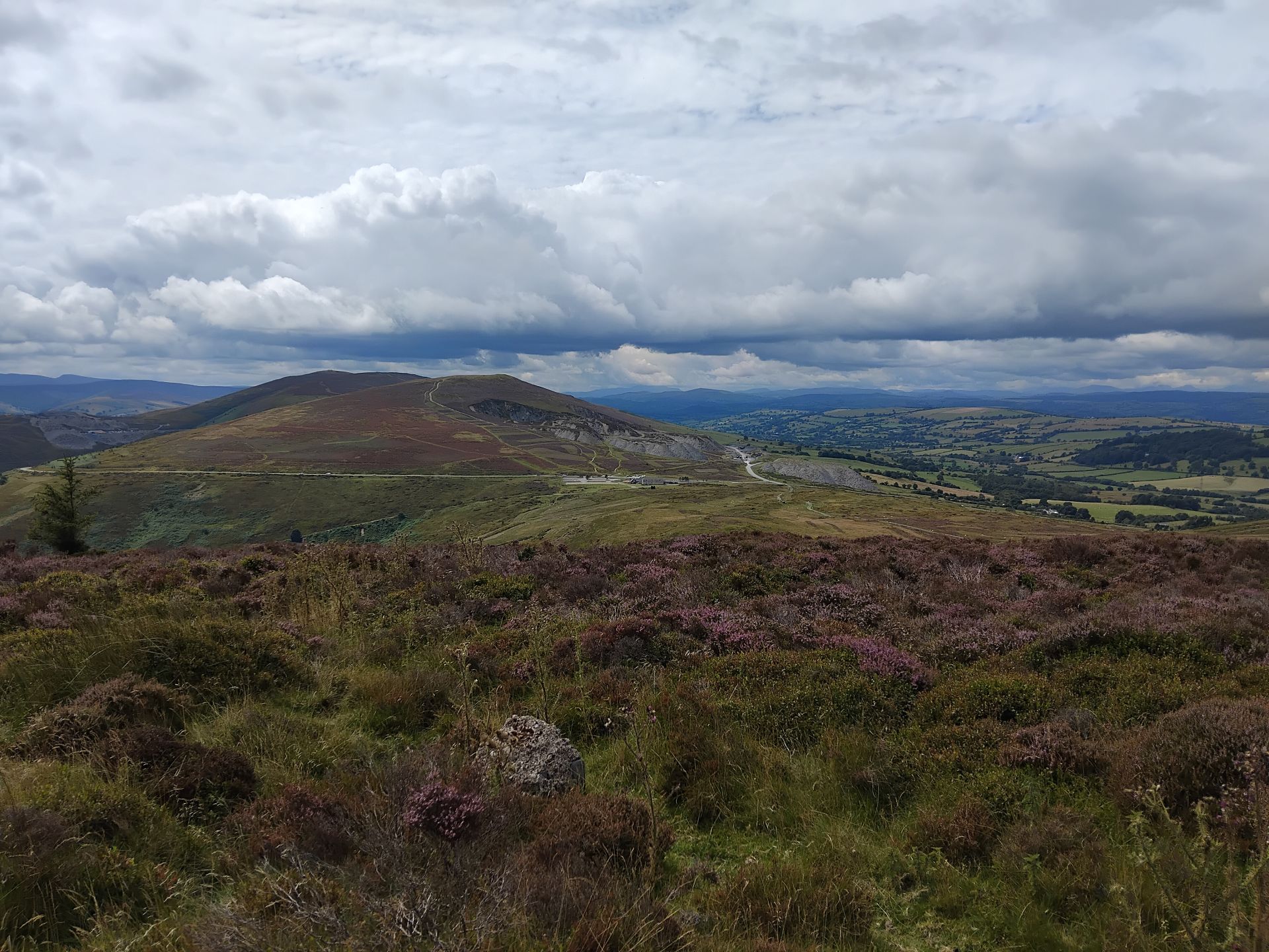 Moorland - Horseshoe Pas