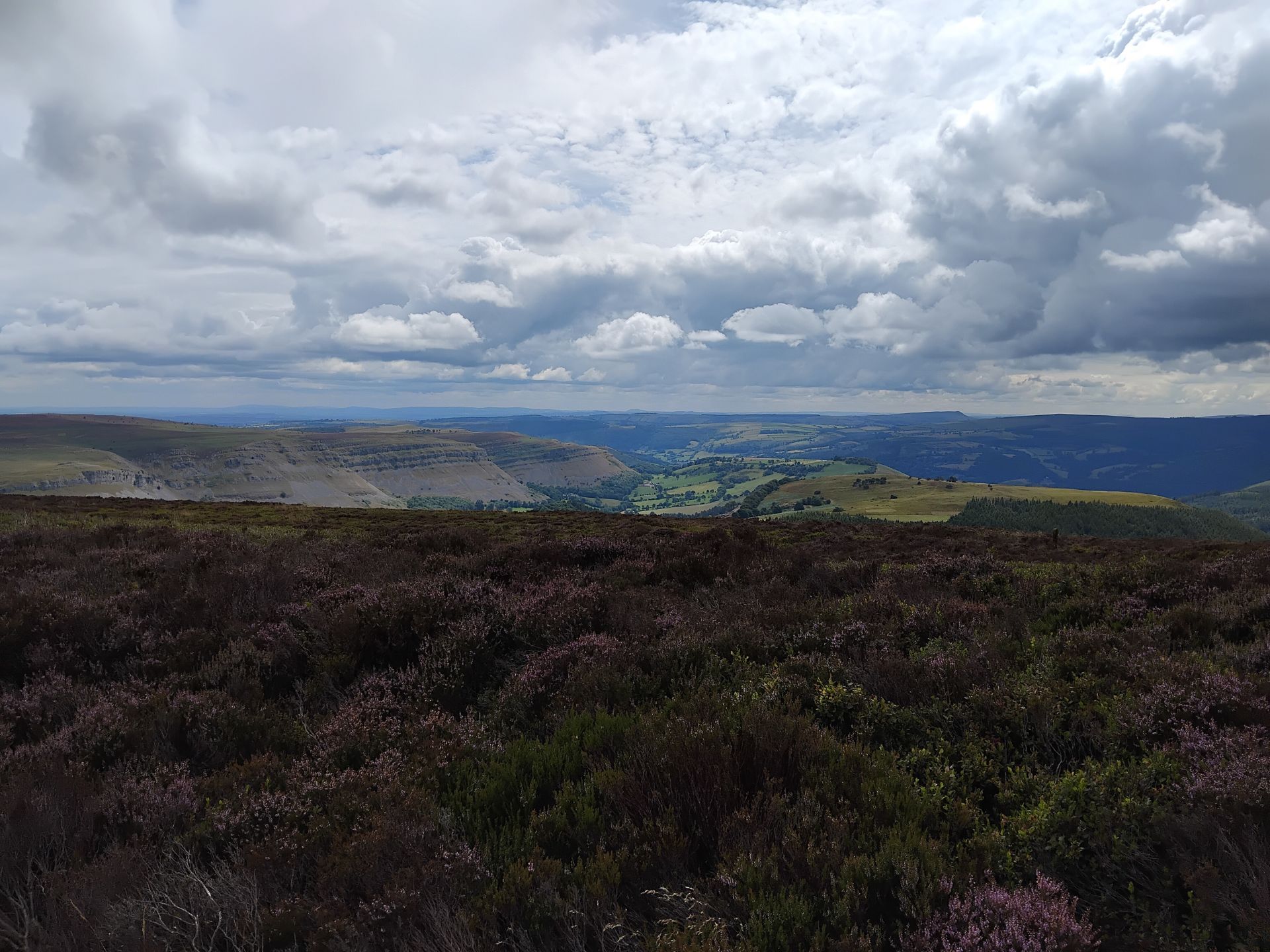Moorland - Horseshoe Pass