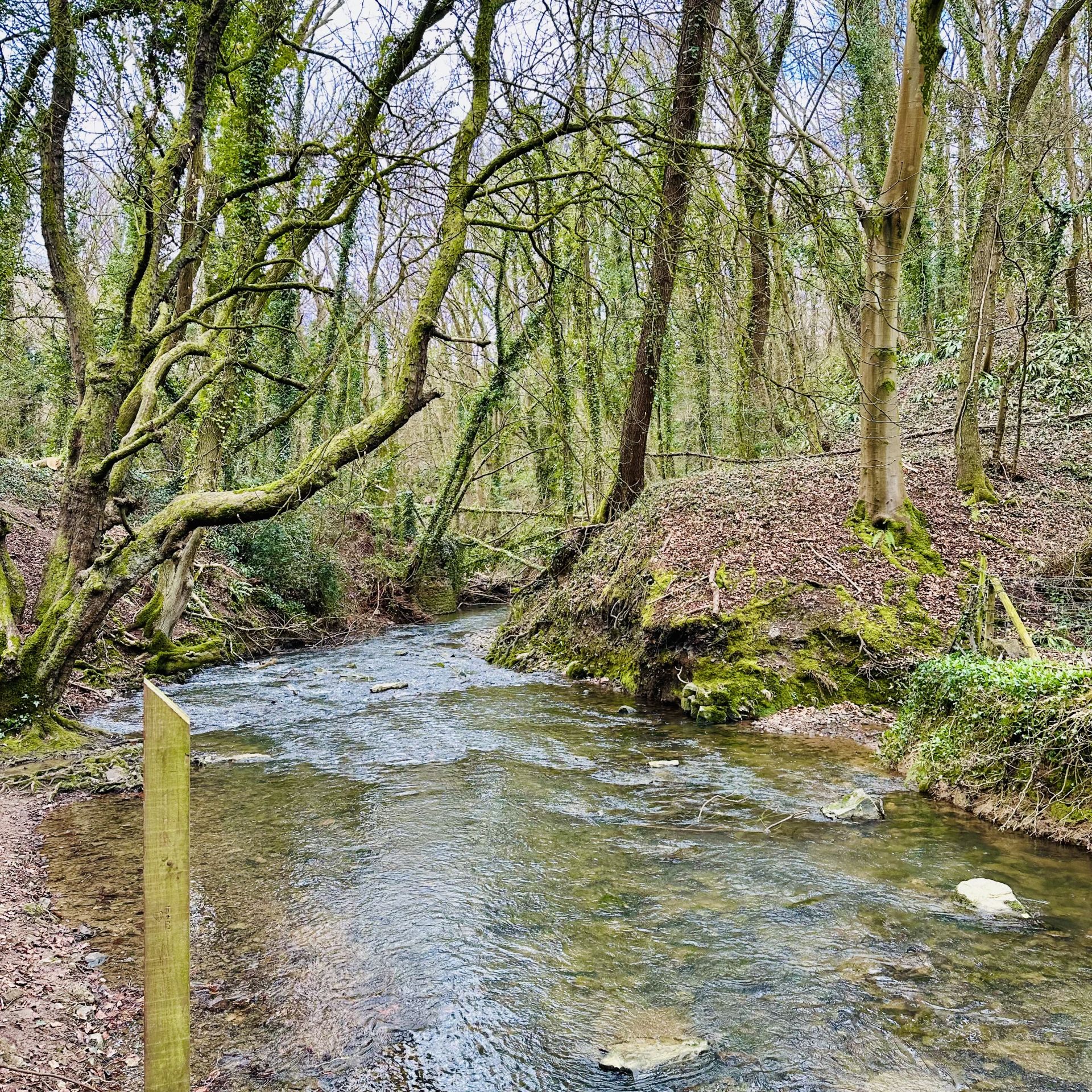 River Boyd at Wick
