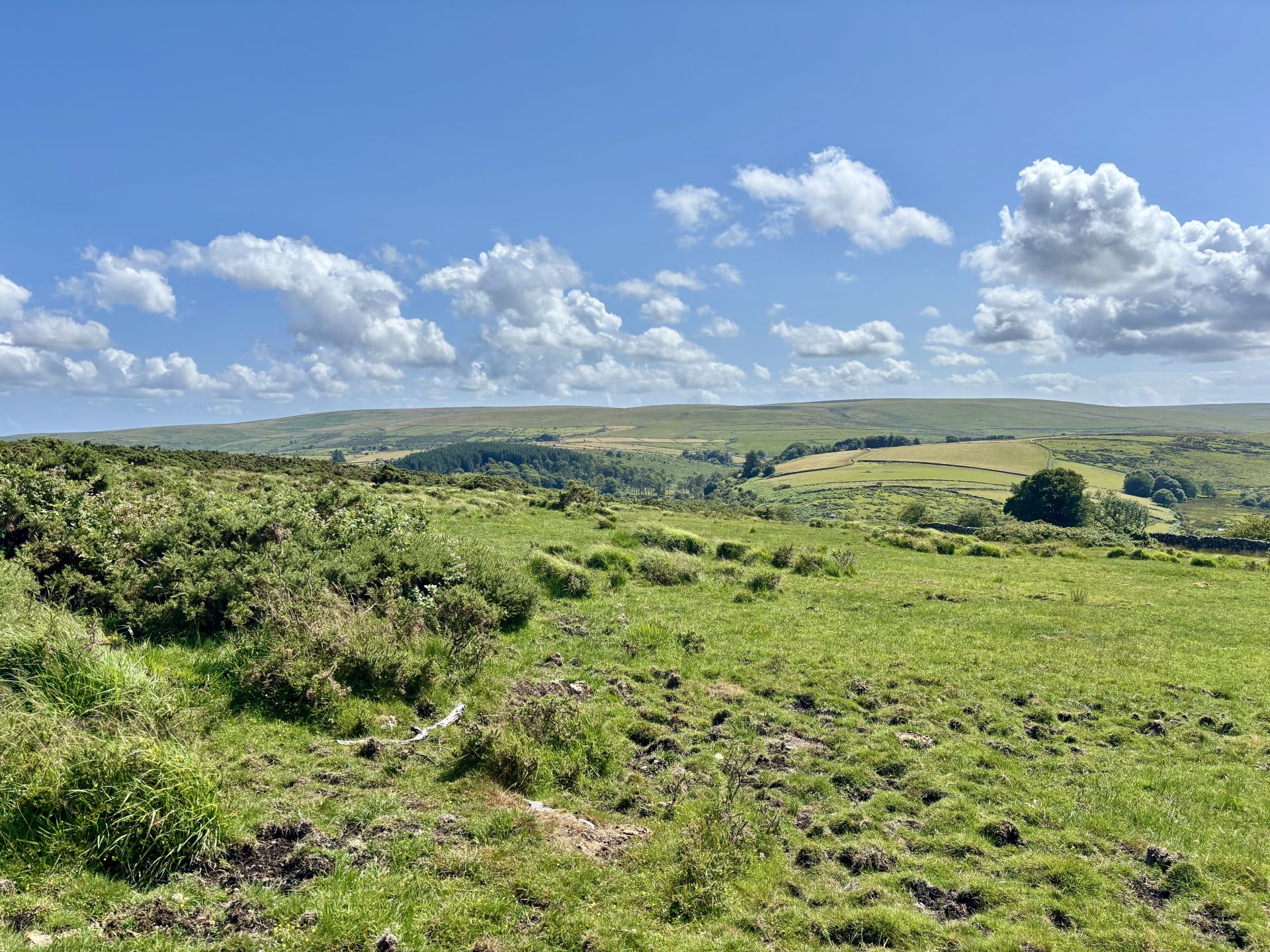 View across open moorland 