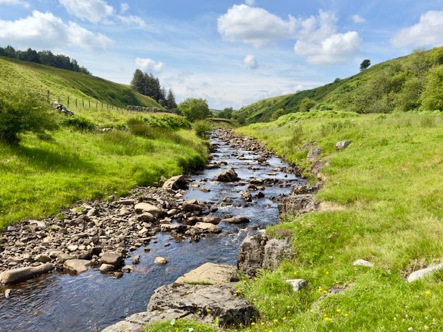 Gilderdale Burn