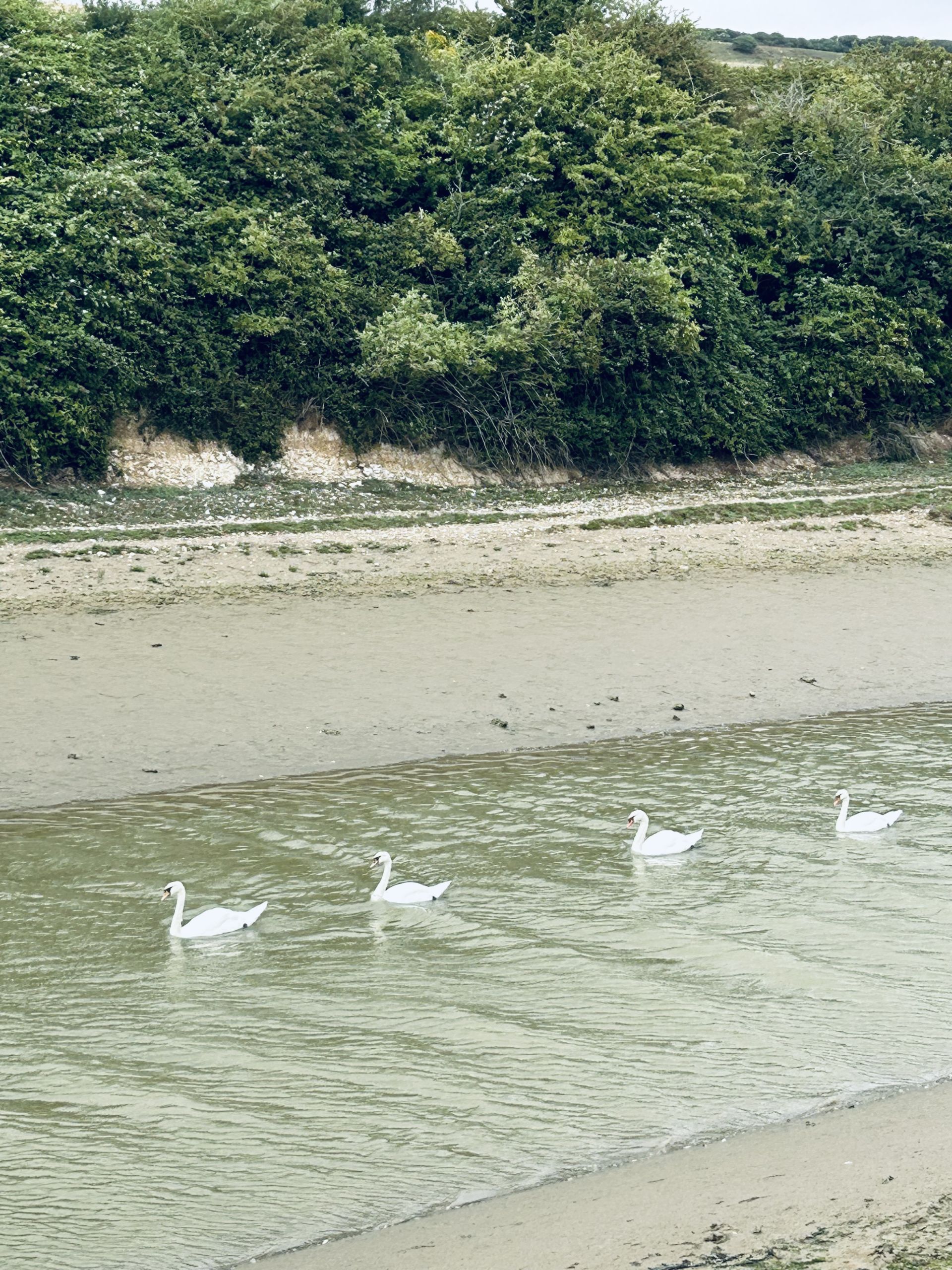 On Cuckmere River