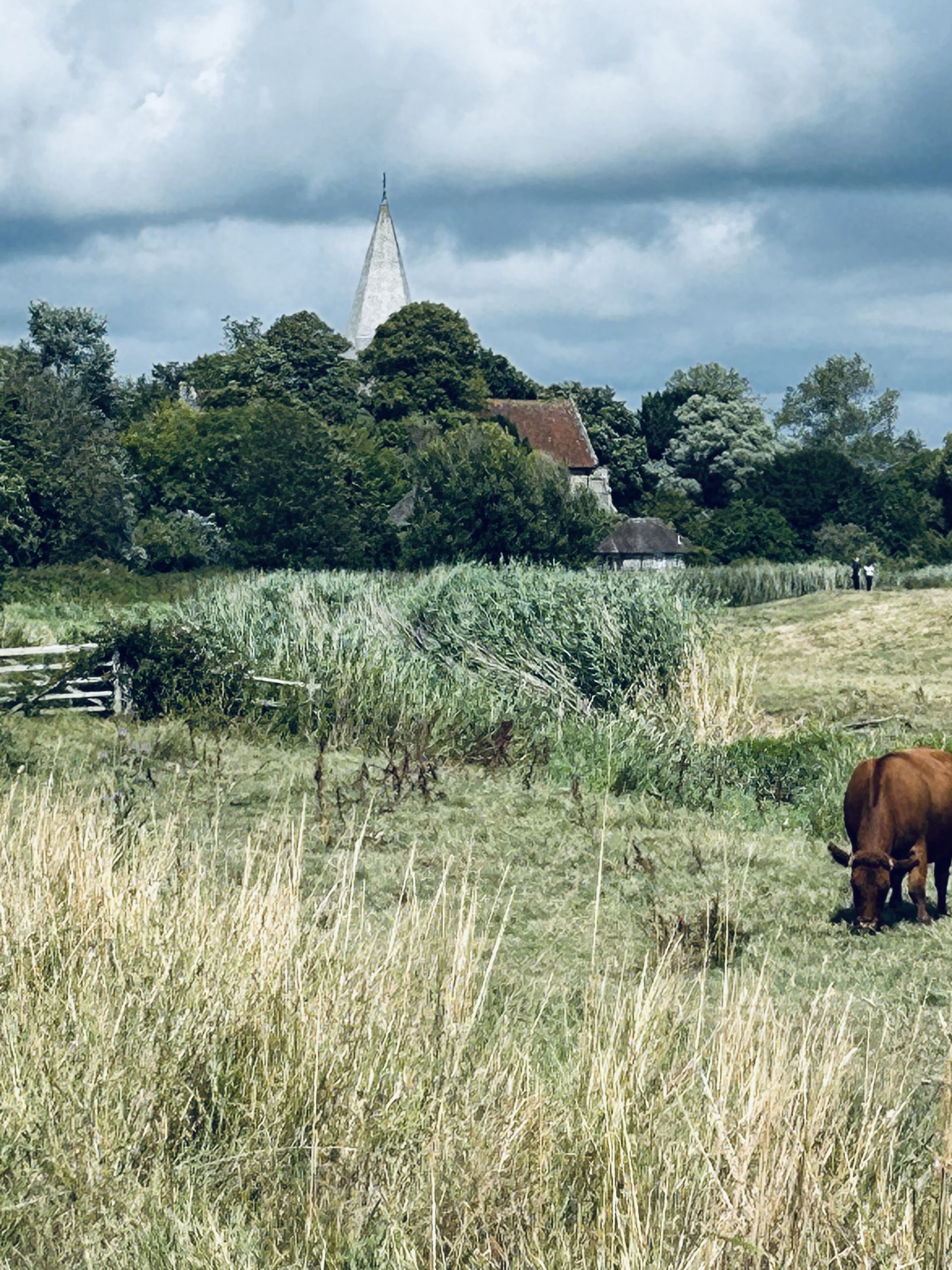 Near Alfriston