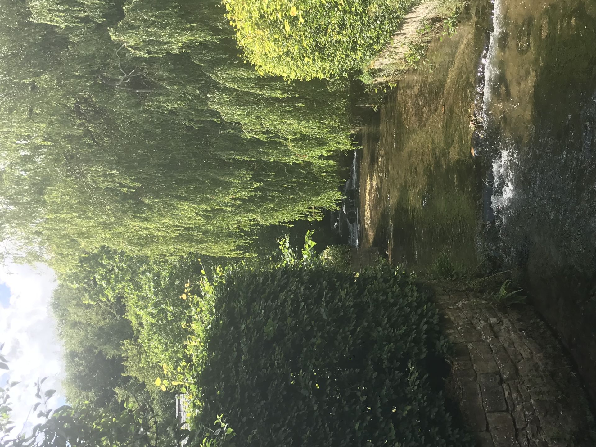 Beck at Thornton le Dale