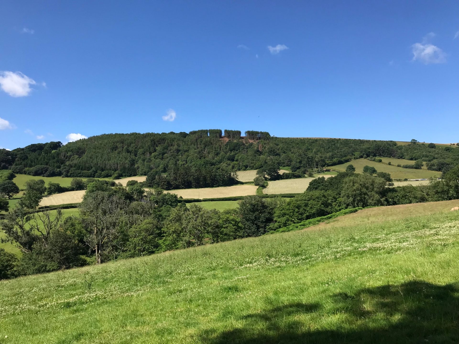 Area view