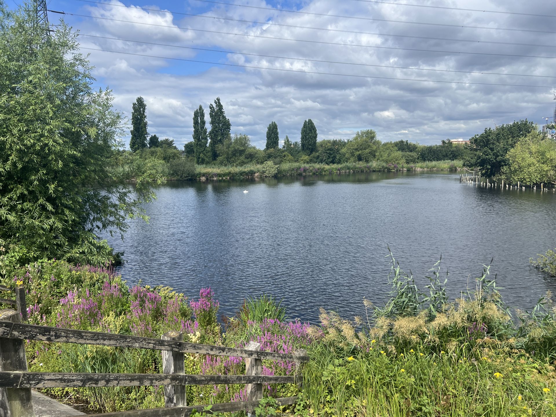 Walthamstow Wetlands