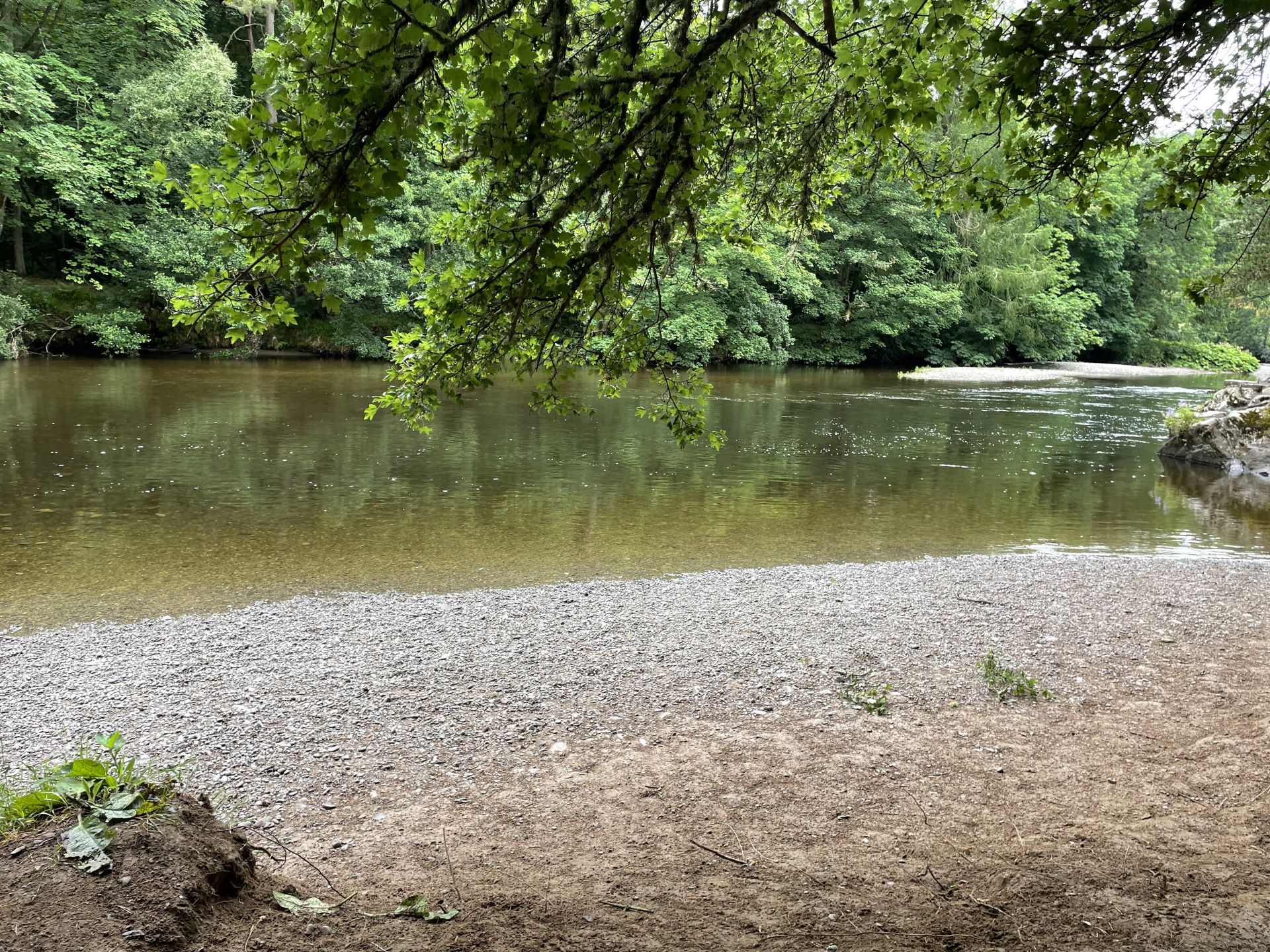 River Tweed