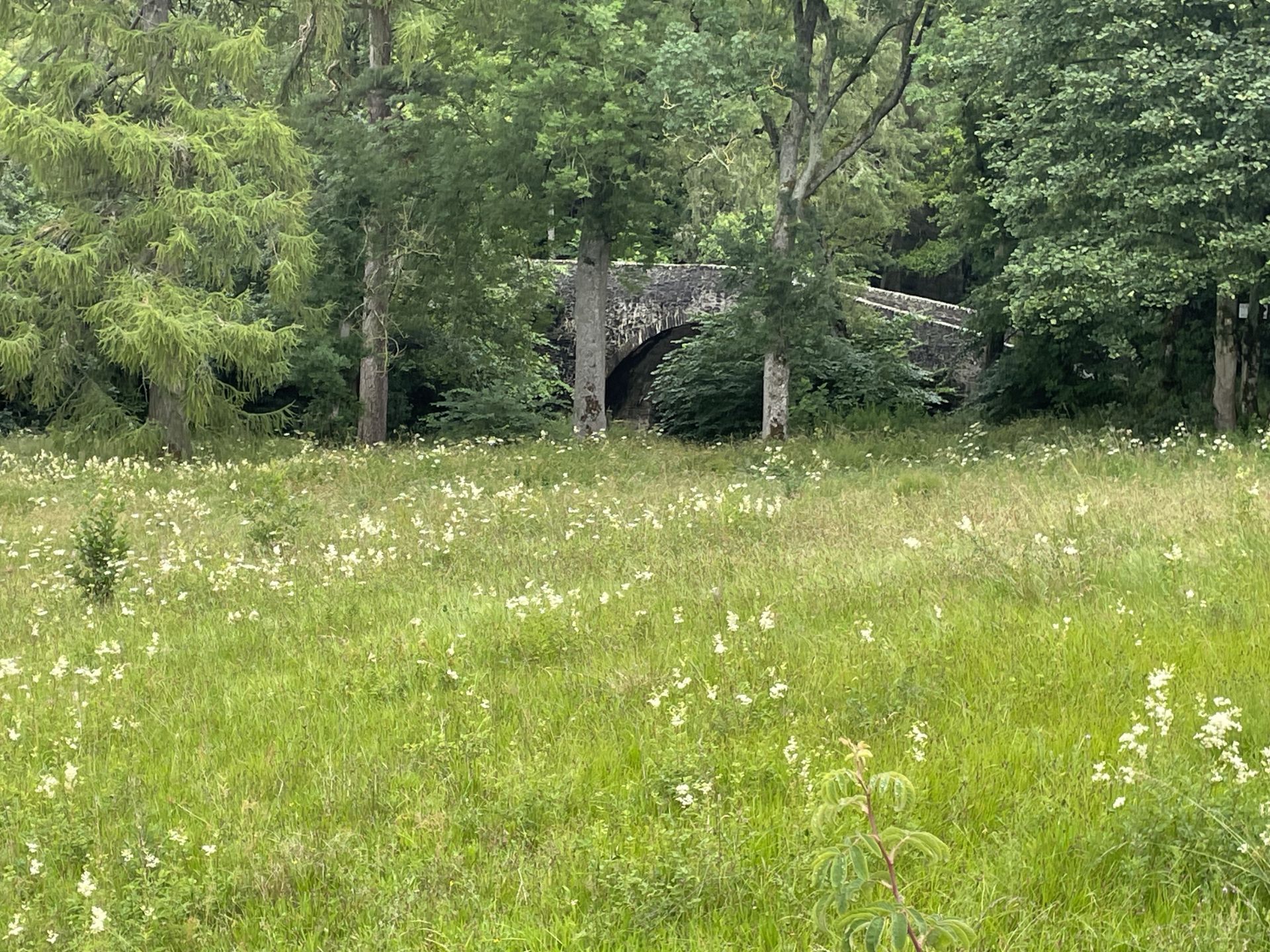 Old Manor Brig