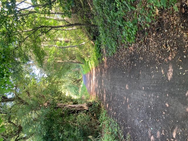 Path