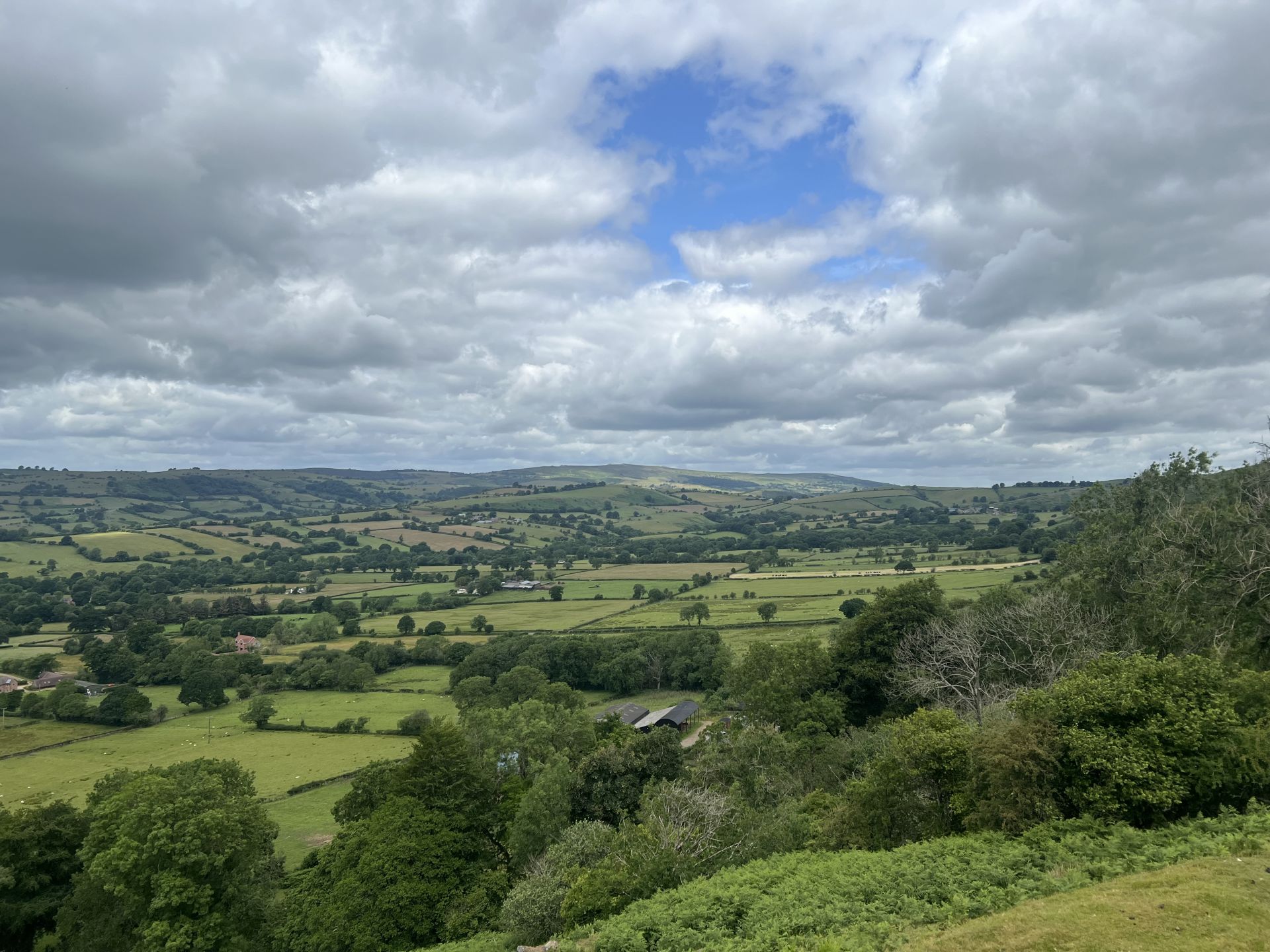 From Black Knoll