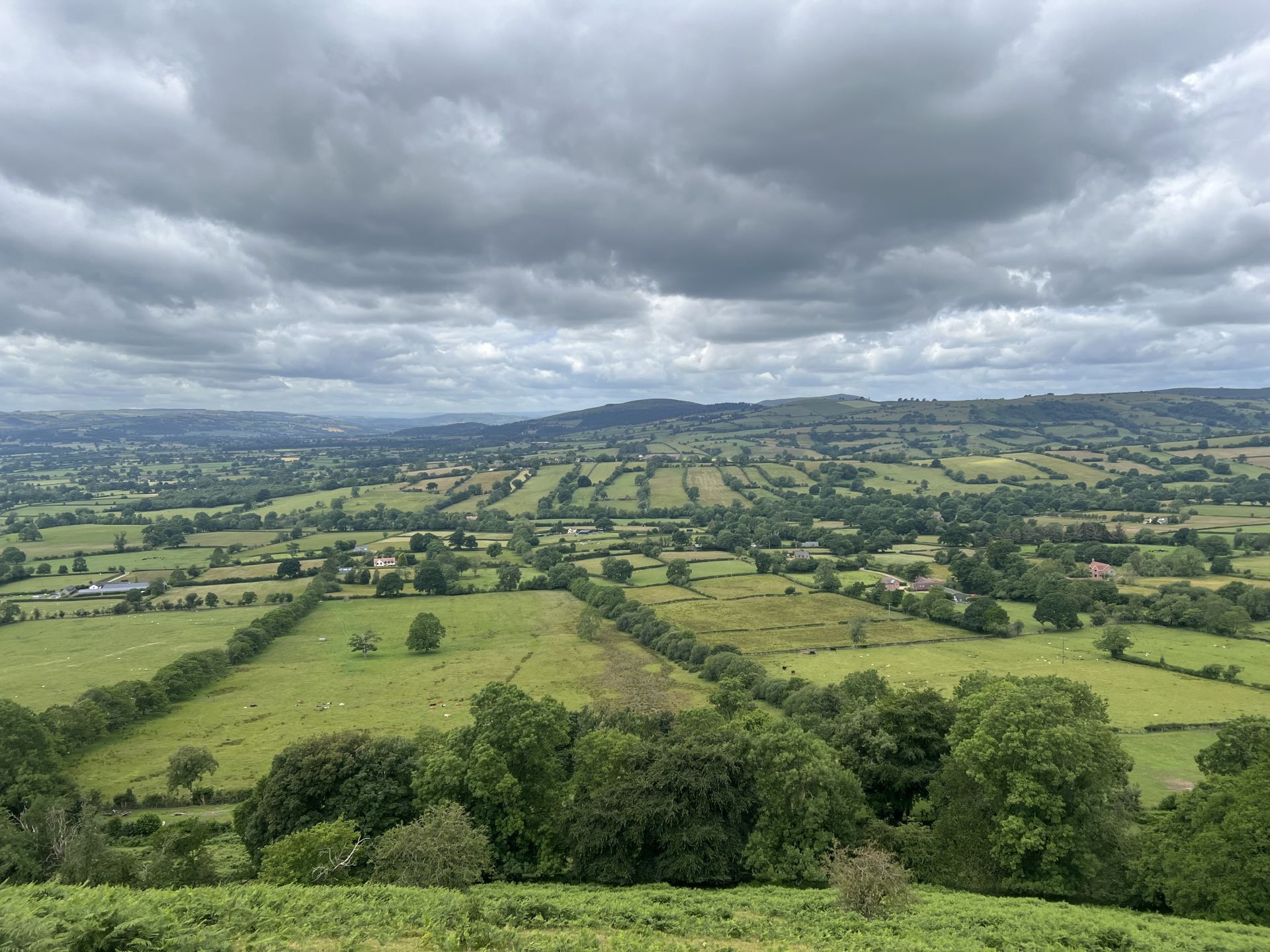 From ne Black Knoll