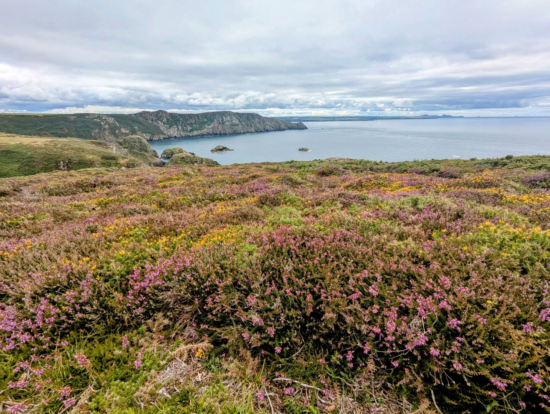 Headland