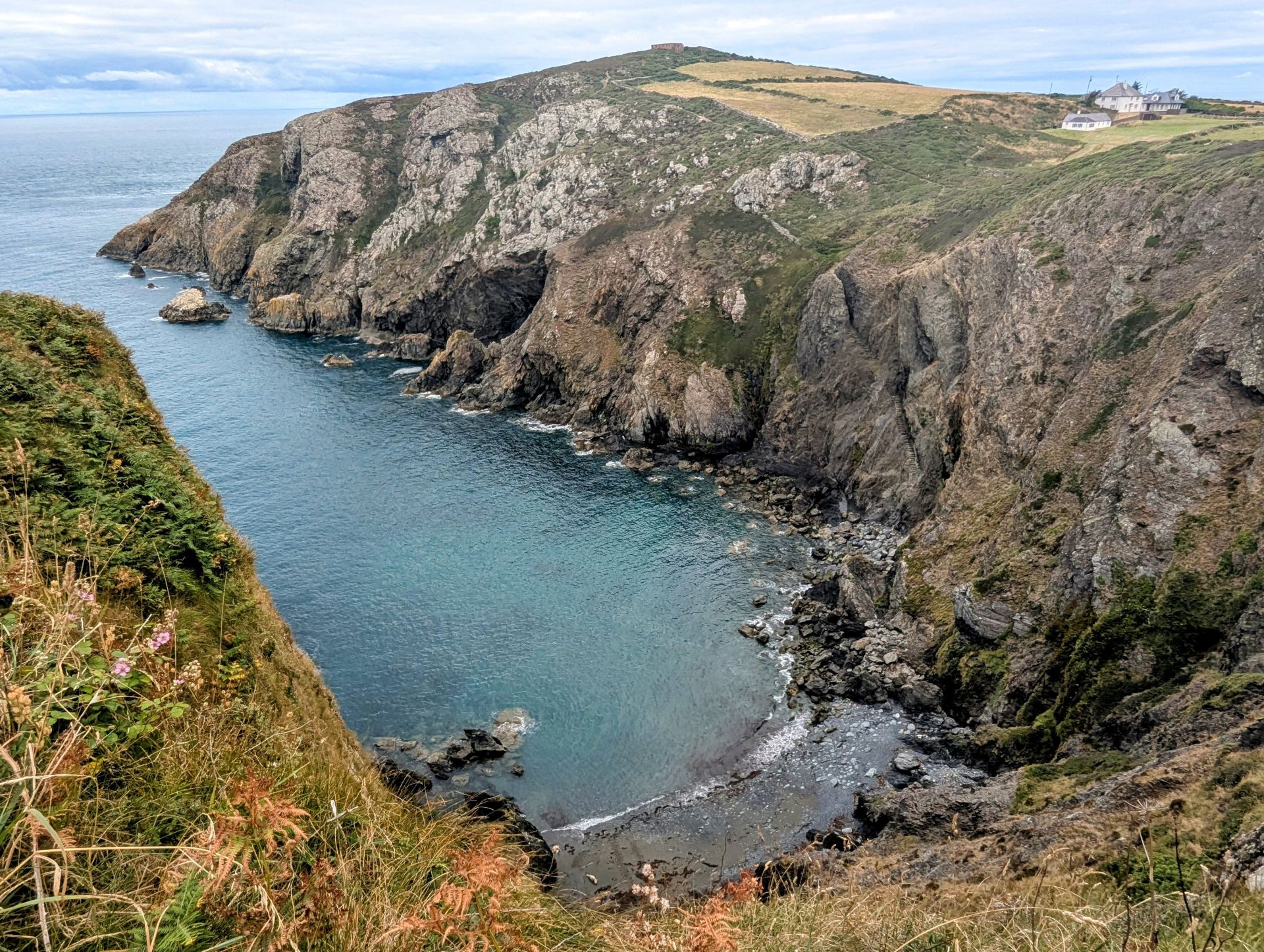 Cove