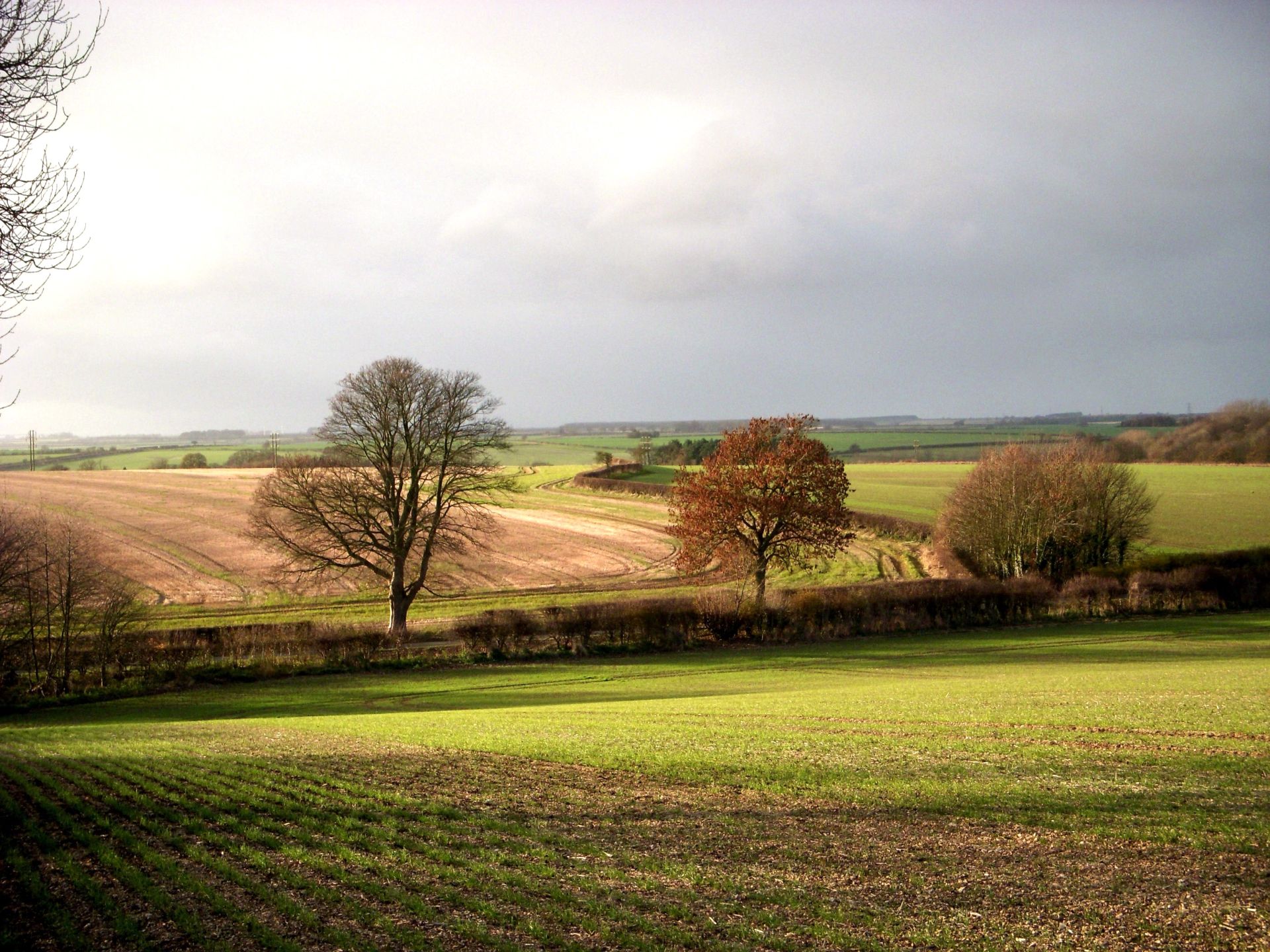 Wold Newton - Ramblers