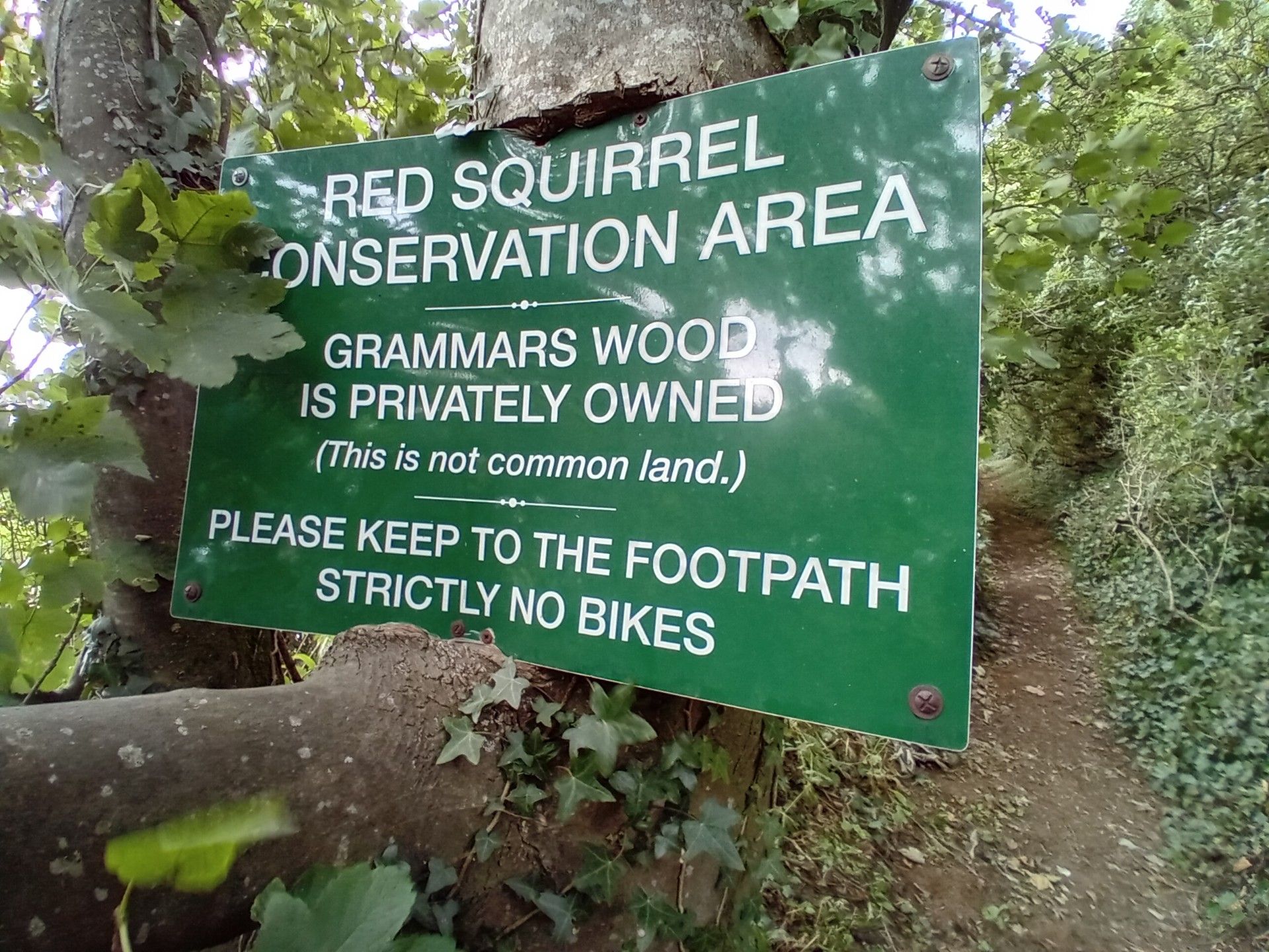Grammars wood