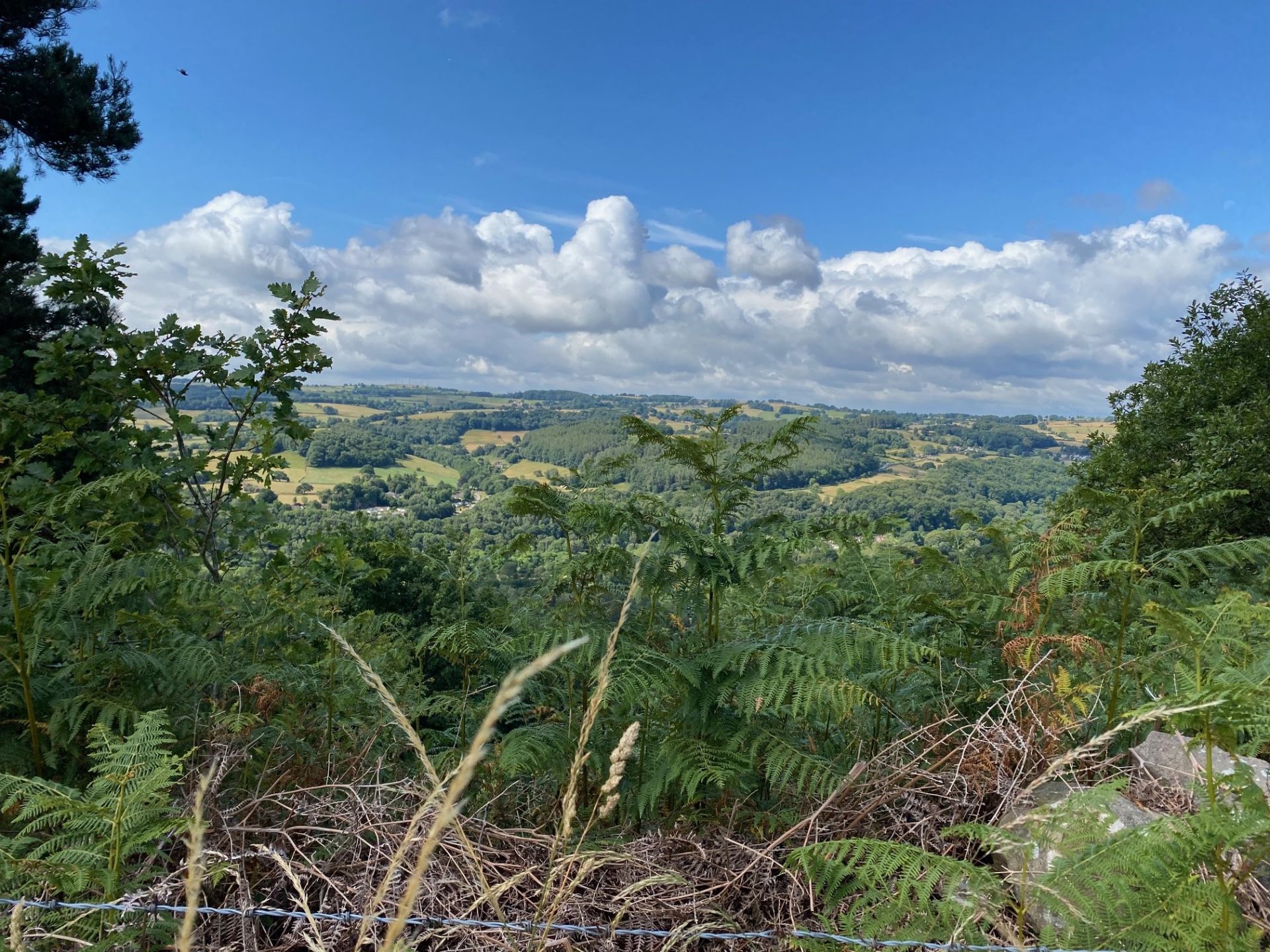 View across Derwent valley