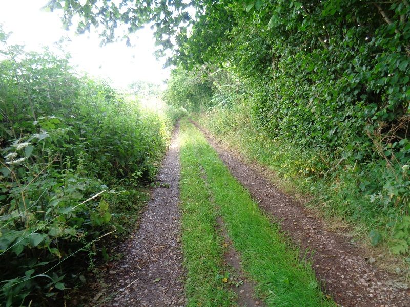 Wood lane
