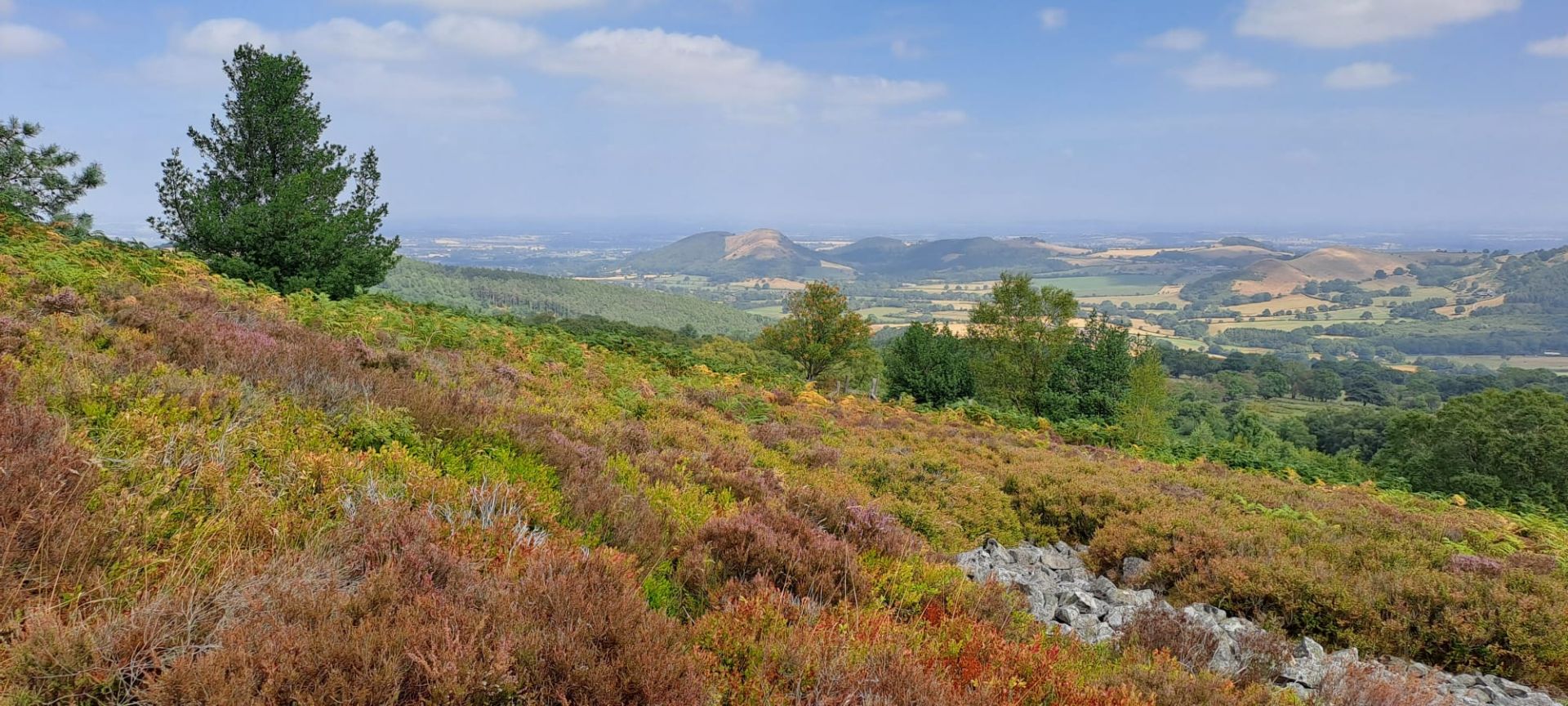Near Stiperstones