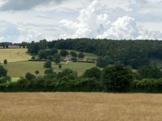 Lovely View